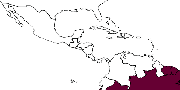 map of Megalopta mura     Santos & Melo, 2015